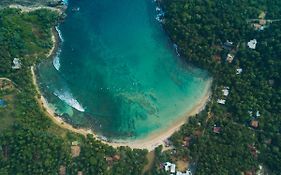 Dots Bay House